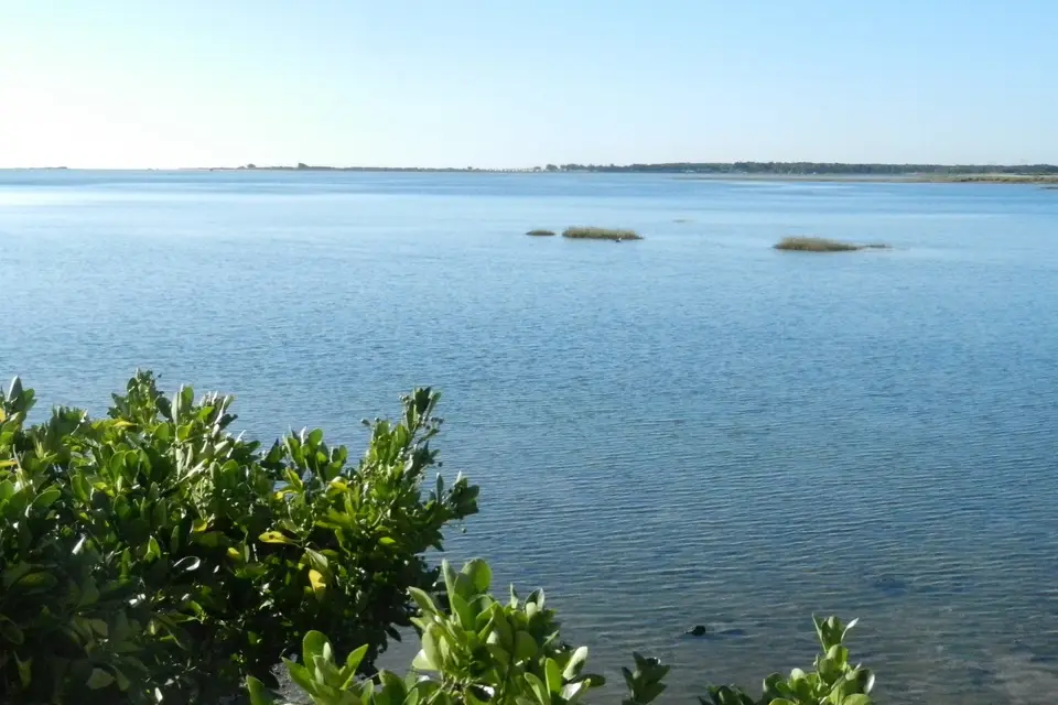 La Baie des Anges — photo 2