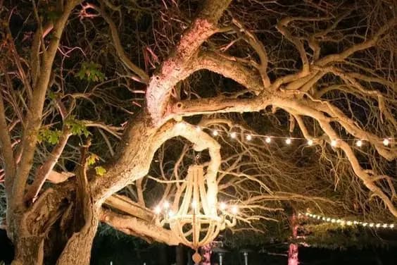 Power Production — photo 2