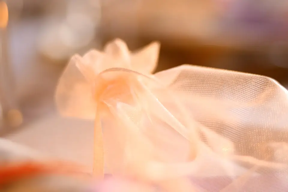 Aurevent — photo 5