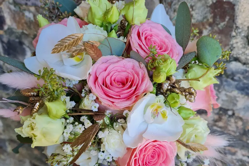 Aurore Végétale — photo 7