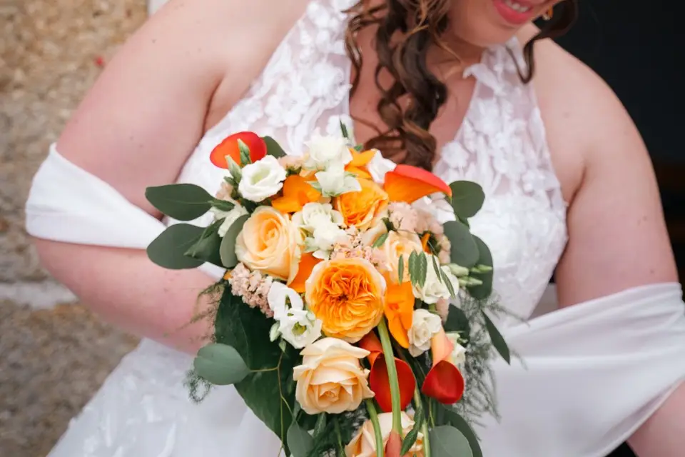 Aurore Végétale — photo 8