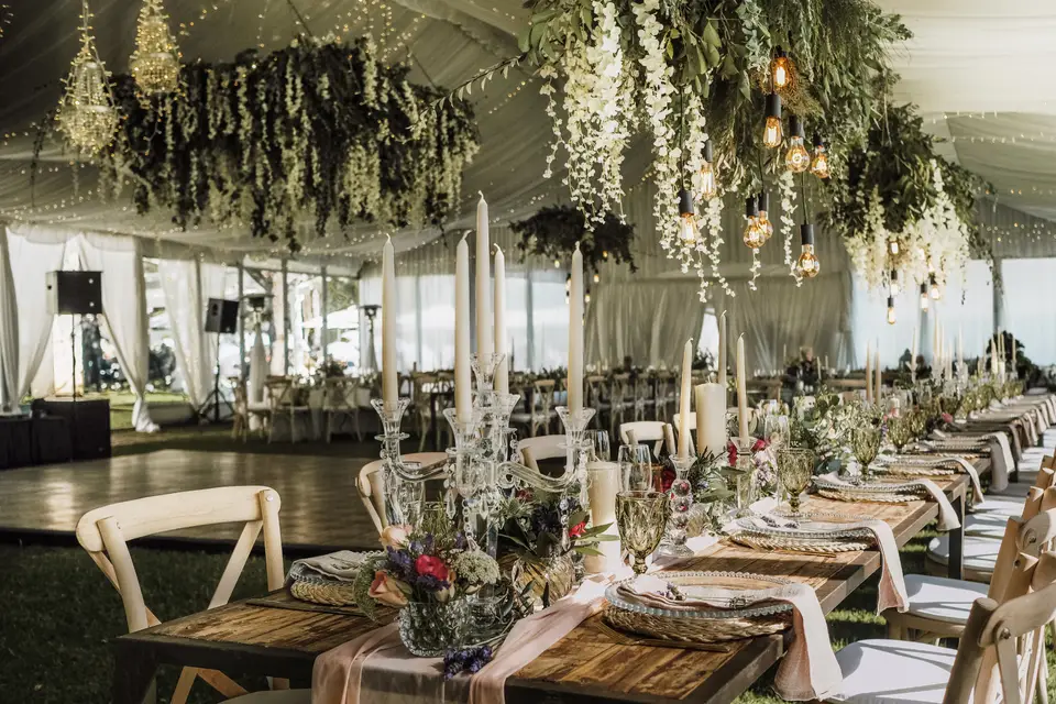 Mesevents — photo 5