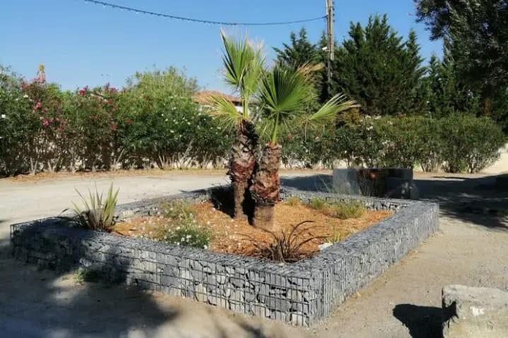 Salle 113 — photo 4