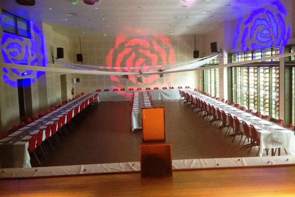 Patrick Nylien - Animations et Spectacles — photo 1