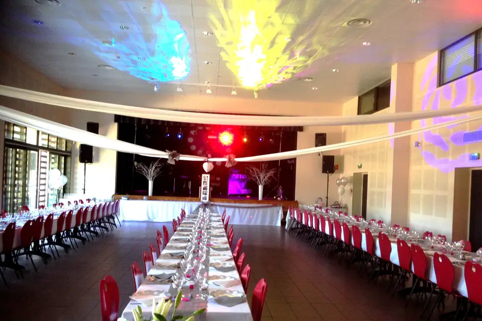 Patrick Nylien - Animations et Spectacles — photo 2