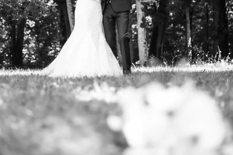 François Gillet — photo 7