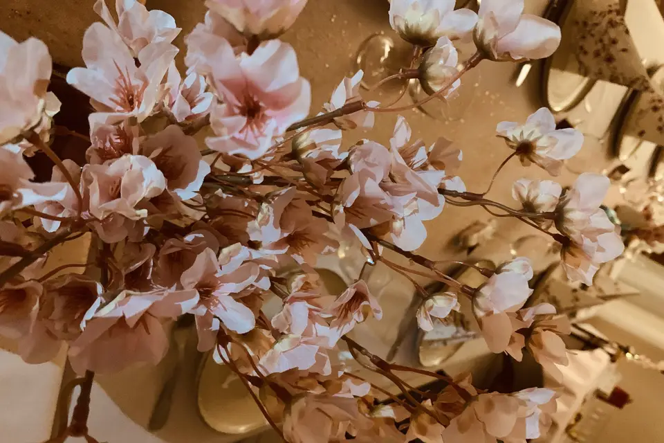 Marthe&Marcel — photo 2