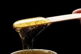 Souffle Zen — photo 5