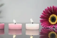 Souffle Zen — photo 3