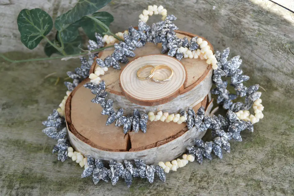 Photographe Émoi — photo 5