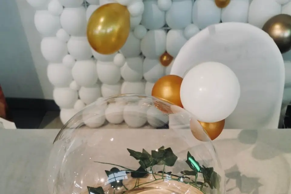 Rêve de Ballons — photo 1