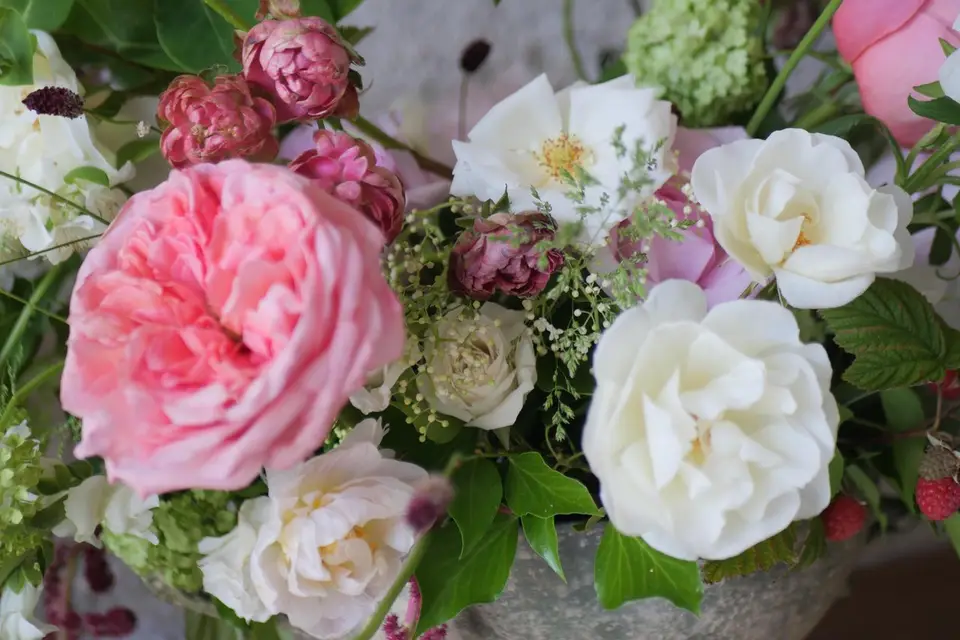 June in Bloom — photo 7