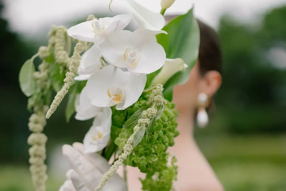 June in Bloom — photo 2