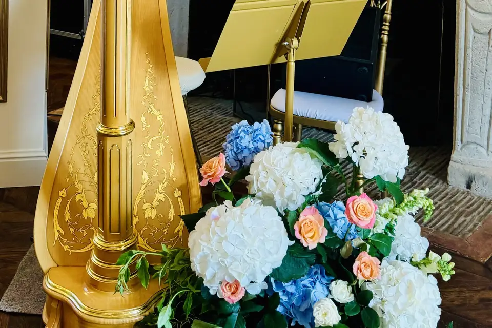 Harp Romance Events — photo 1