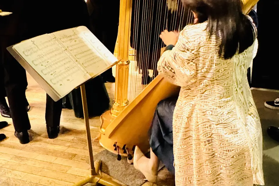 Harp Romance Events — photo 7