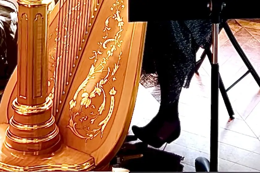 Harp Romance Events — photo 8