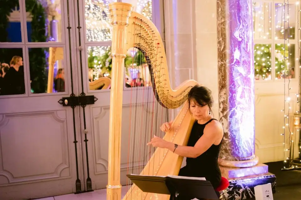 Harp Romance Events — photo 3
