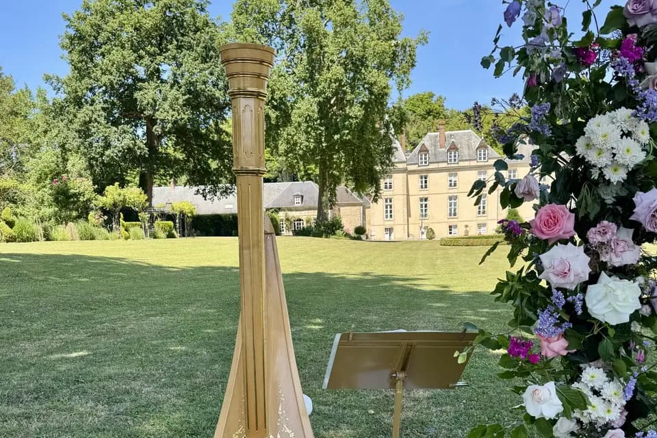 Harp Romance Events — photo 5