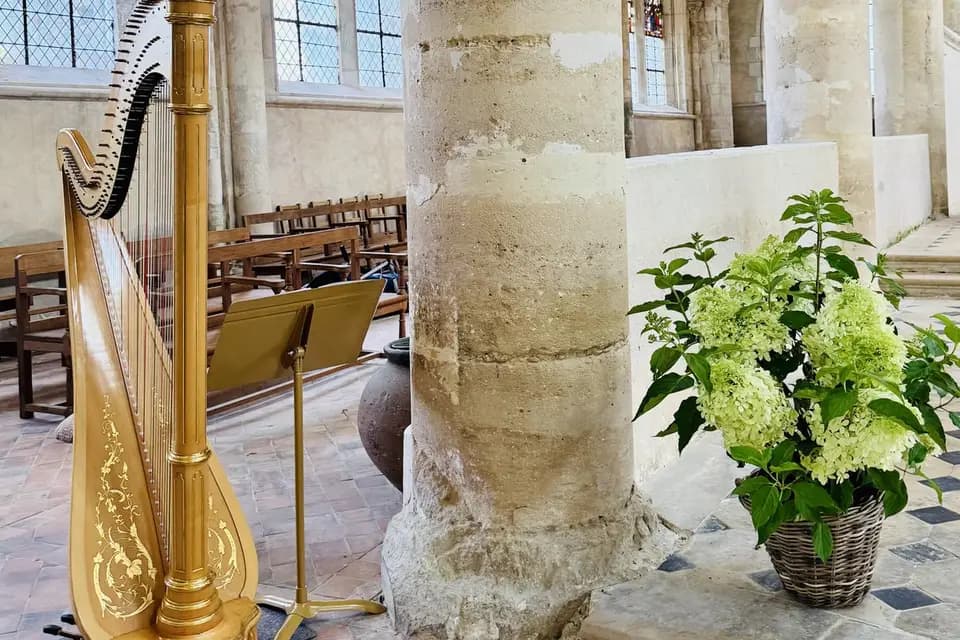 Harp Romance Events — photo 4