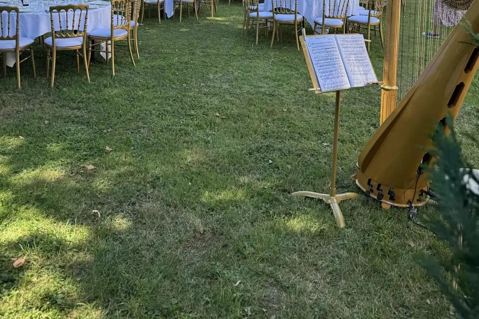 Harp Romance Events — photo 6