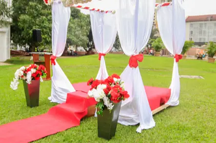 Butterfly Events — photo 7