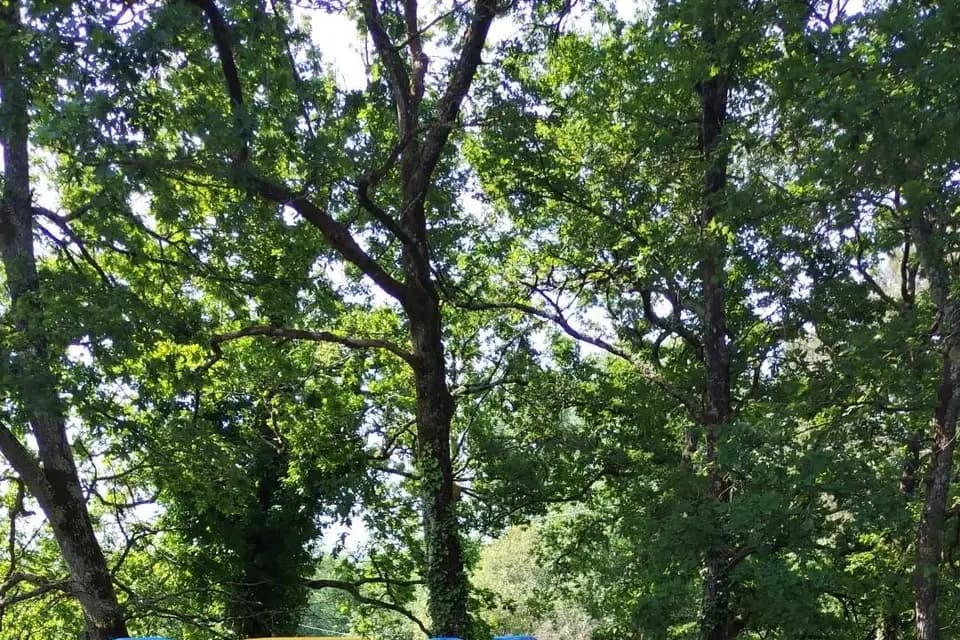 Lokagonfle Gironde — photo 7