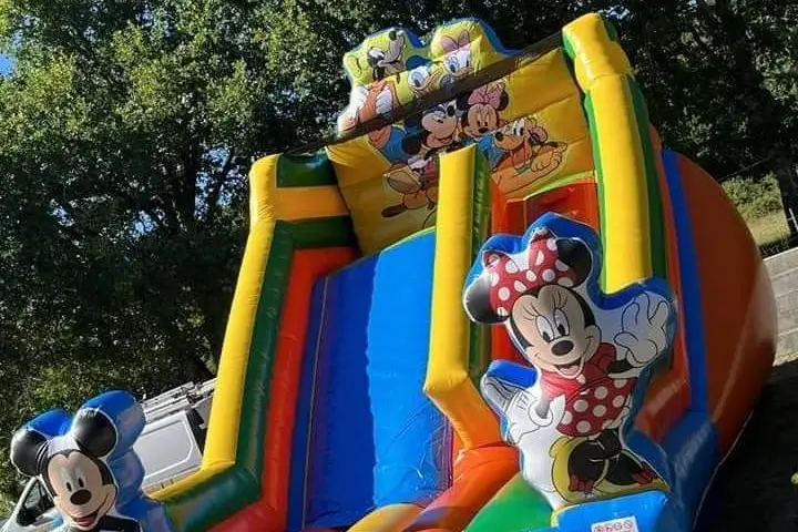 Lokagonfle Gironde — photo 4