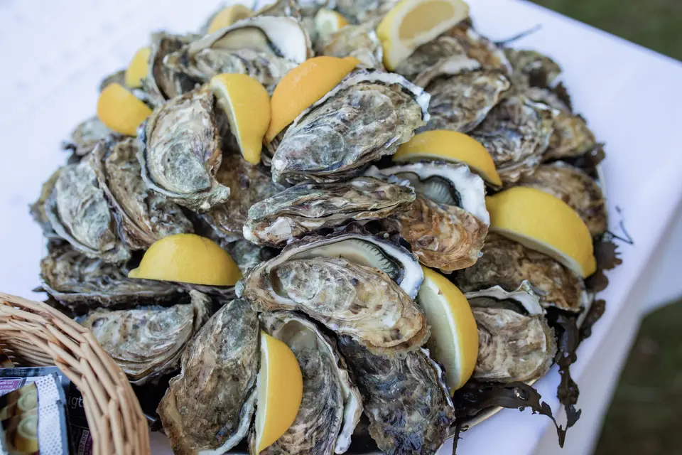 Les Gastron'home Périgourdins — photo 6