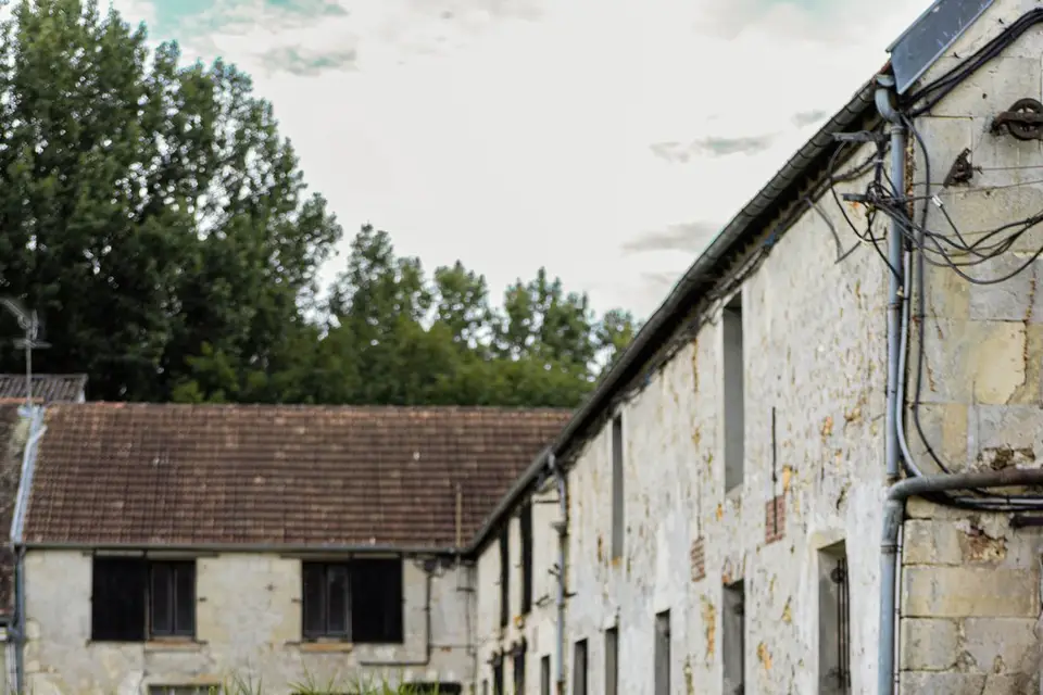 Monsieur Film — photo 8