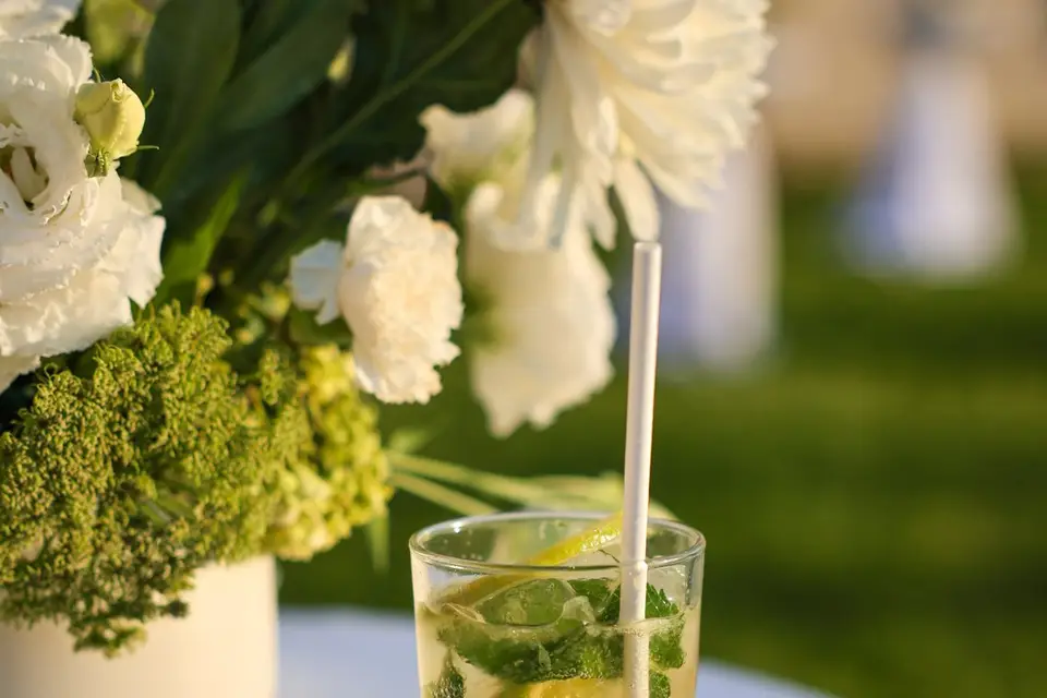 Your Own Bartender — photo 2