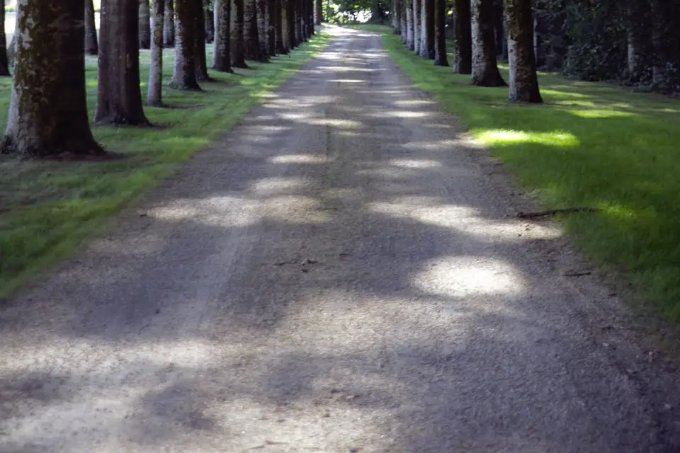 La Cour de Marzan — photo 7