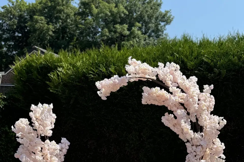 Atelier Azra — photo 3