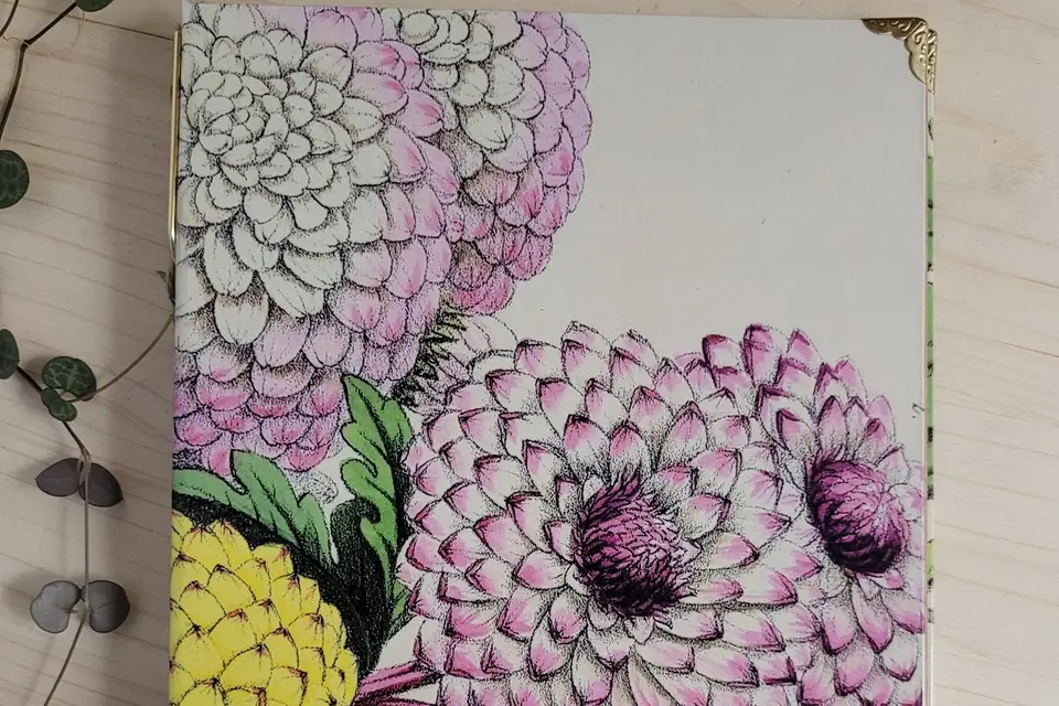 Les Flâneries de Capucine - Livre d'Or — photo 5