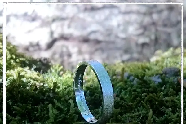 Pascale Dyllis — photo 2