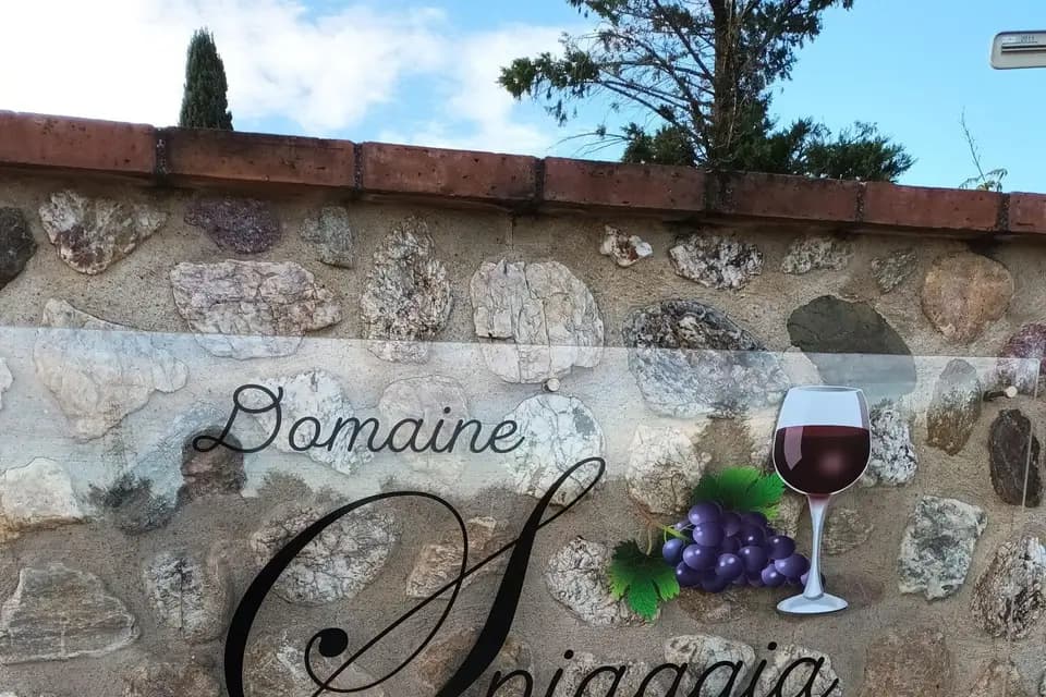 Domaine Spiaggia — photo 2