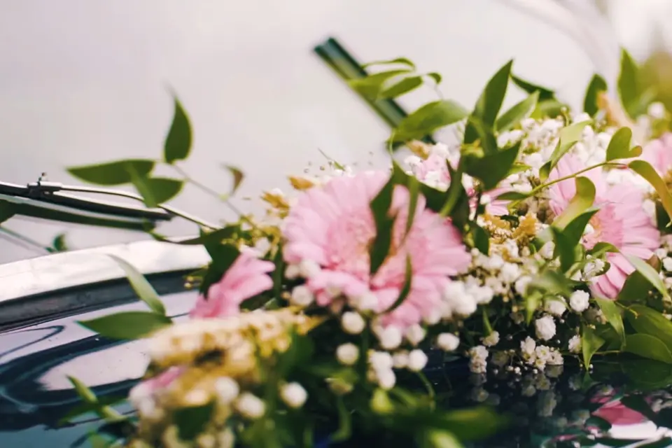 Orionis Vidéo — photo 3