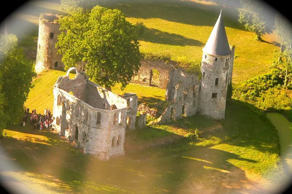 Château du Vivier — photo 6