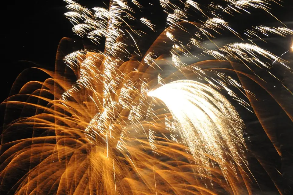 Château du Vivier — photo 8