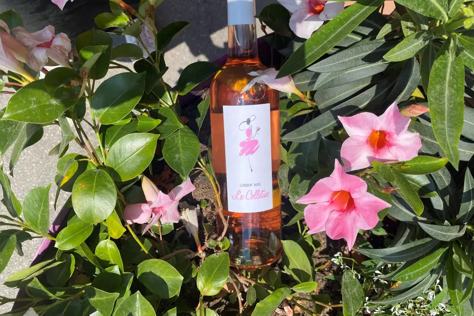 Le Marchand de Vins — photo 8