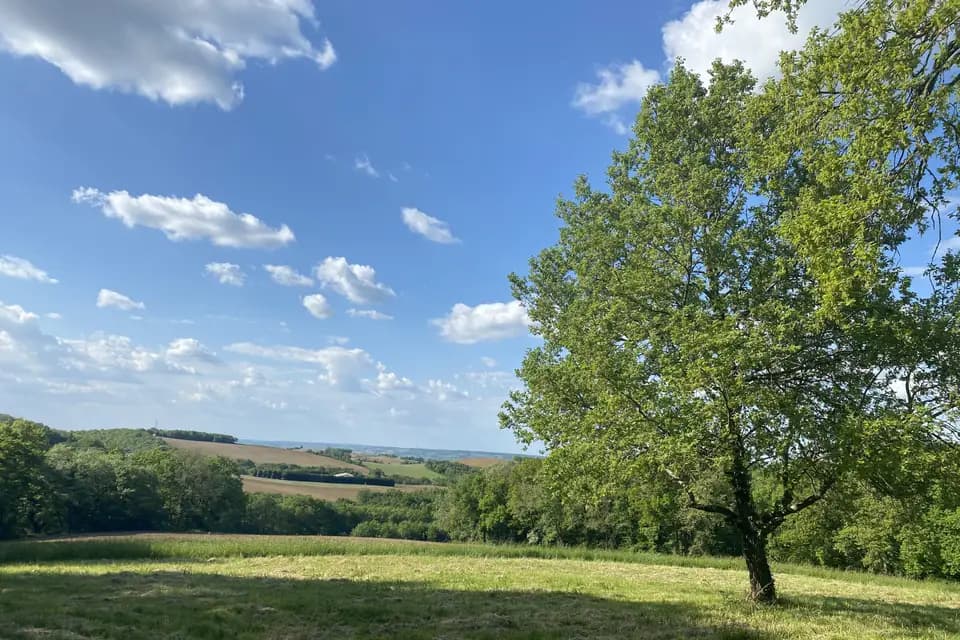 La Métairie du Fusté — photo 8