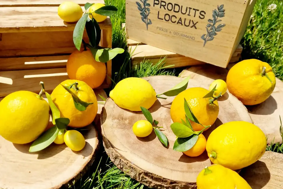 ADquat Traiteur — photo 5