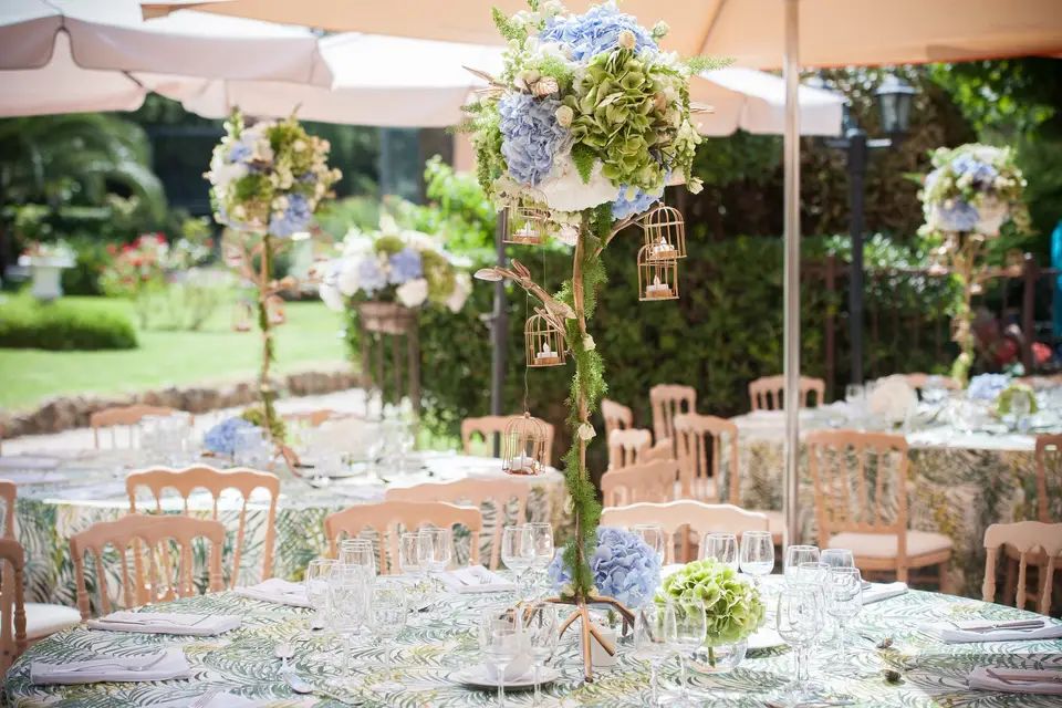 Hôtel l'Orangeraie — photo 5