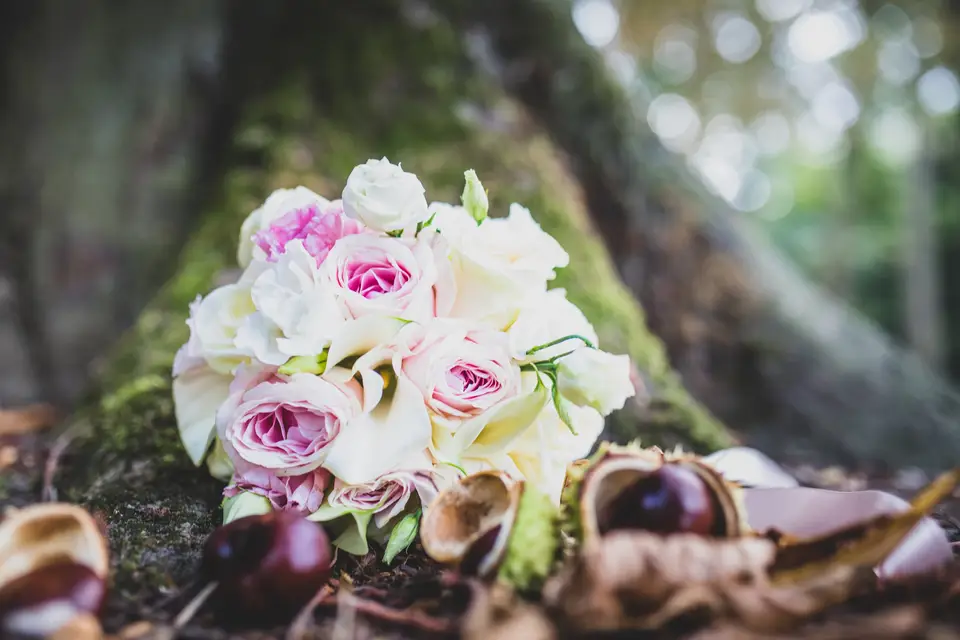 Hongui Film — photo 6