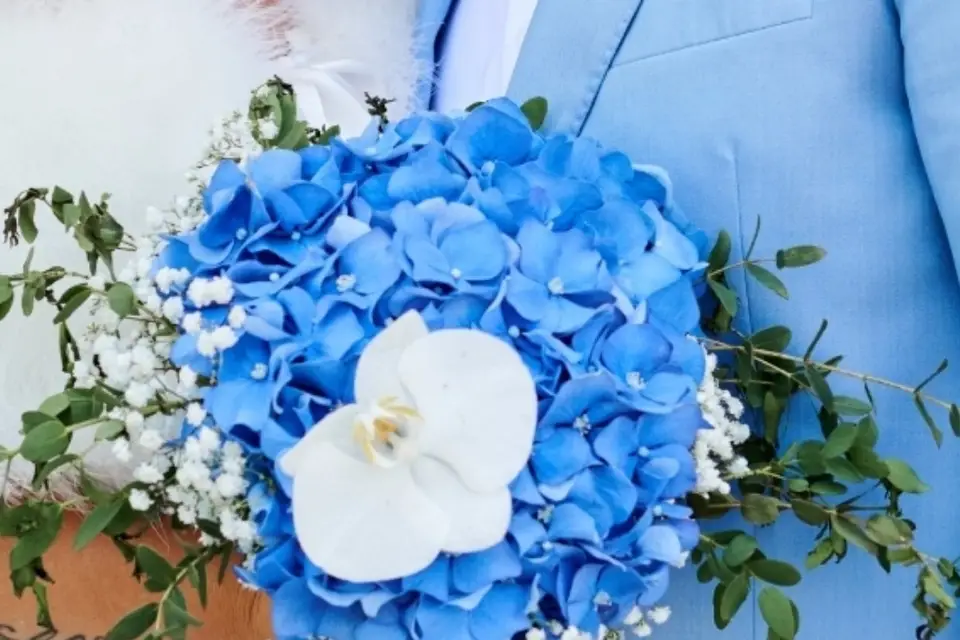 Lauralex Project — photo 6