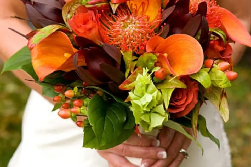 Lauralex Project — photo 5