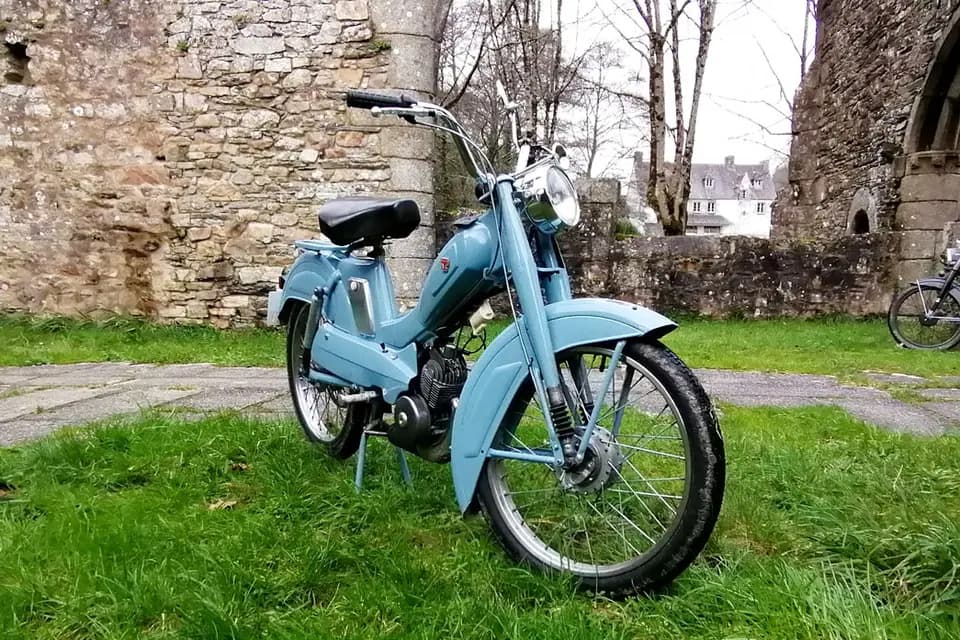 La mob est dans le pré — photo 5