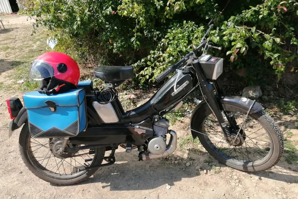 La mob est dans le pré — photo 1