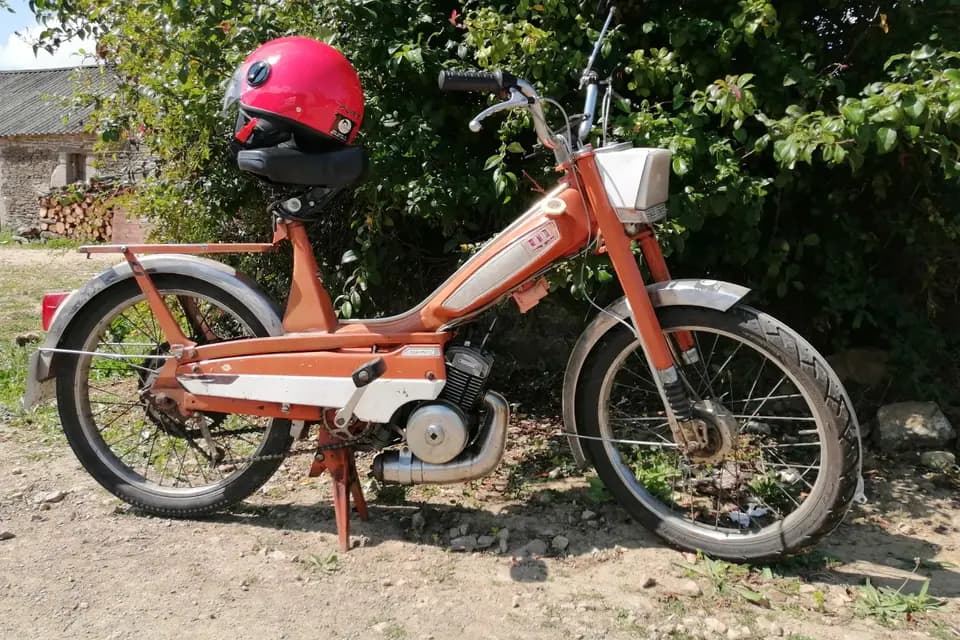 La mob est dans le pré — photo 3