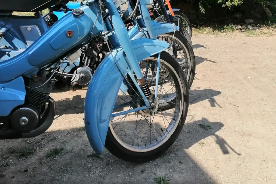 La mob est dans le pré — photo 2