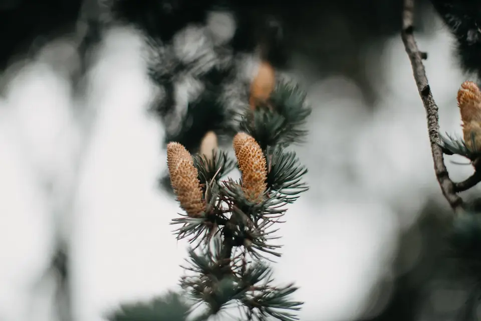Sébastien Bourdet Photographe — photo 3